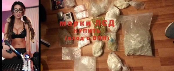 PSILOCYBIN Ельня
