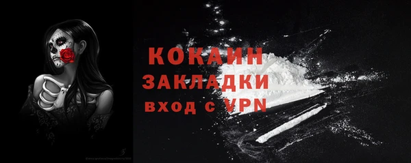 PSILOCYBIN Ельня