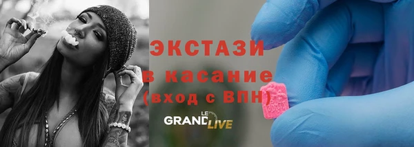 PSILOCYBIN Ельня