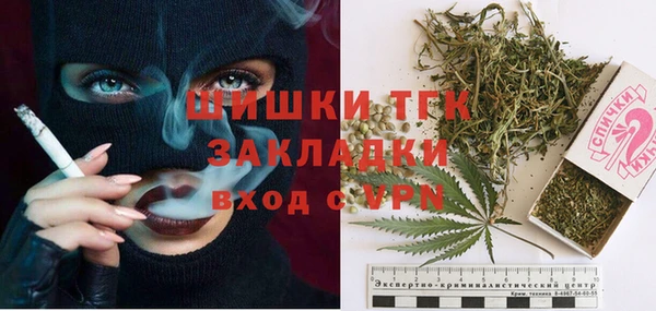 PSILOCYBIN Ельня