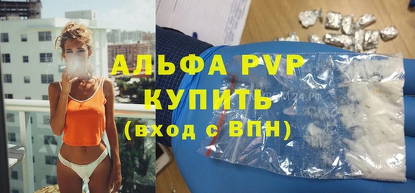 PSILOCYBIN Ельня