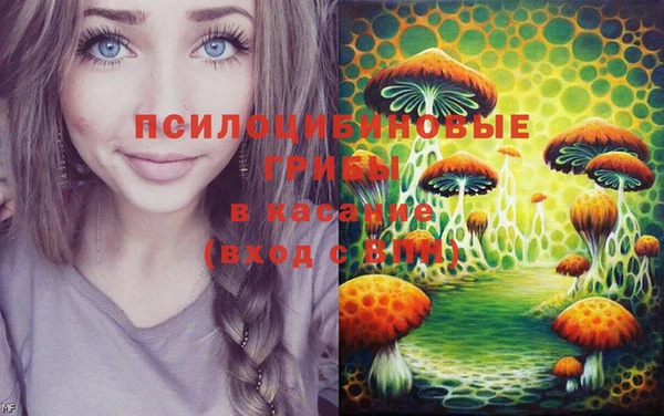 ПСИЛОЦИБИНОВЫЕ ГРИБЫ Елабуга