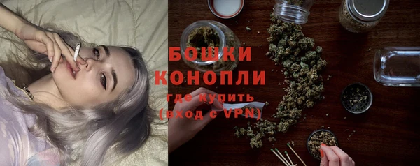 ПСИЛОЦИБИНОВЫЕ ГРИБЫ Елабуга