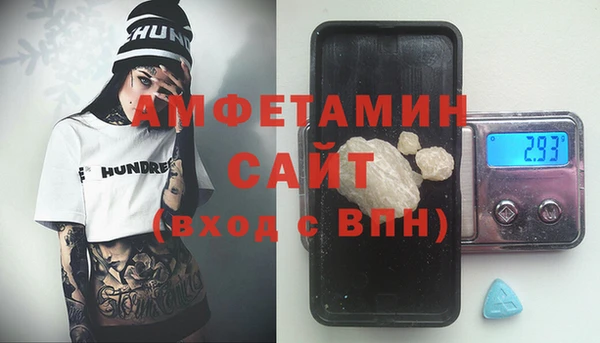 PSILOCYBIN Ельня