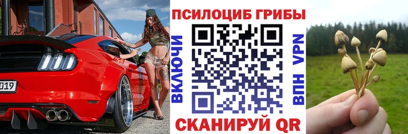 Купить закладки  Староминская  Псилоцибиновые грибы Psilocybine cubensis 