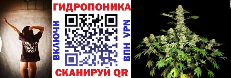 Купить где  Староминская  Шишки марихуана планчик 